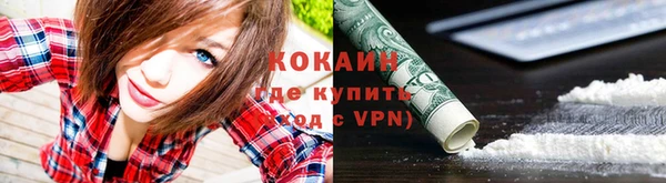 спайс Гусев