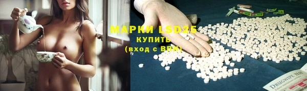 спайс Гусев