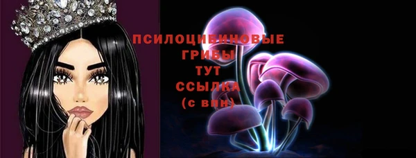ALPHA-PVP Гусь-Хрустальный