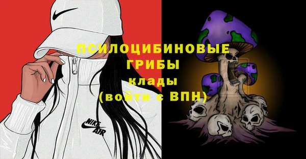 спайс Гусев