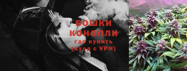 спайс Гусев